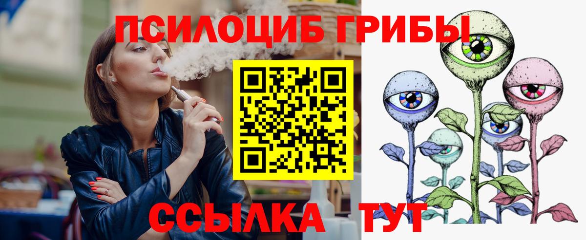 Галлюциногенные грибы Psilocybe Псков